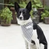 Giesse Scampoli Creatività E Accessori>Accessori per cani
