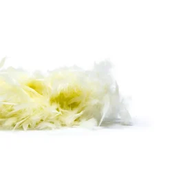 Giesse Scampoli Passamanerie Moda E Piume>Boa