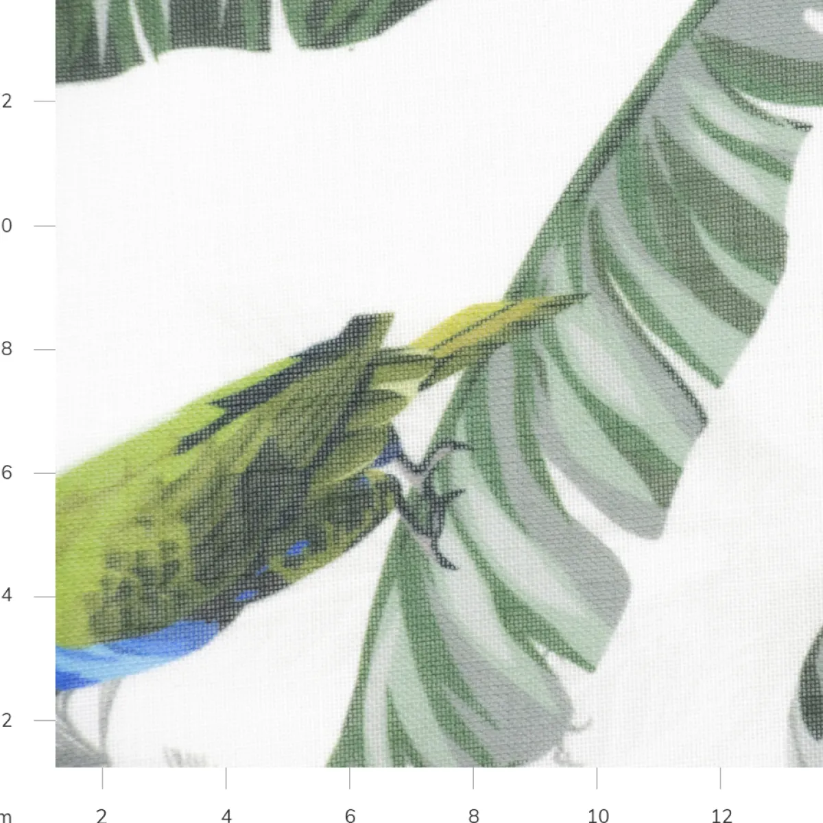Giesse Scampoli Tende Moda>BREMA TENDA FOGLIE, COLIBRÌ STAMPA DIGITALE
