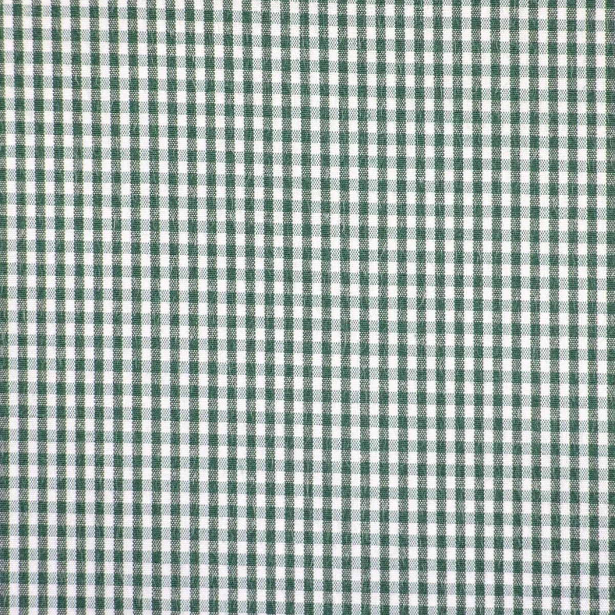 Giesse Scampoli Camiceria>CAMICERIA GINSY NO STIRO ZEPHIR QUADRO PICCOLO