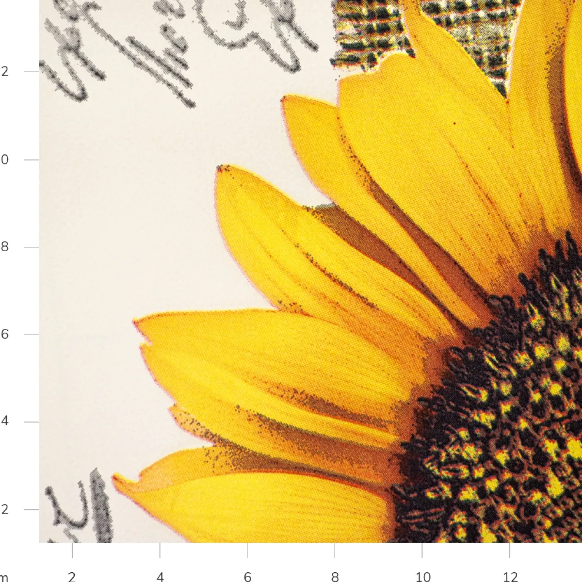 Giesse Scampoli Cotoni Resinati E Tovaglie Cerate>CERATA FANTASIA GIRASOLI