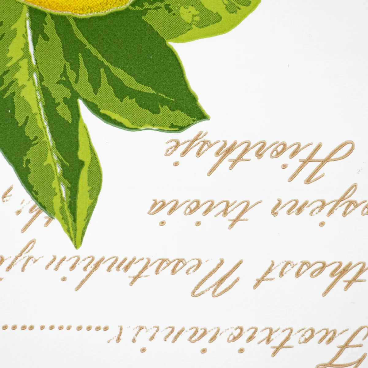 Giesse Scampoli Cotoni Resinati E Tovaglie Cerate>CERATA FANTASIA LIMONI