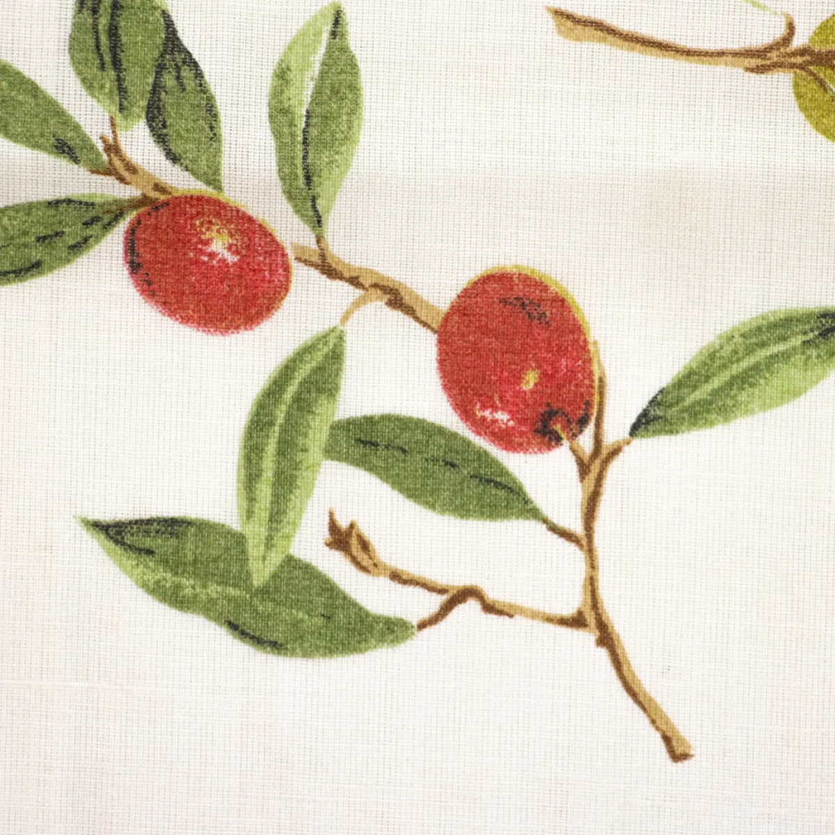 Bambino Giesse Scampoli Tessuti In Cotone>COTONE LEGGERO OLIVE