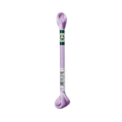 Giesse Scampoli Accessori E Fili Per Il Ricamo>FIL SATIN - 6 CAPI 8M