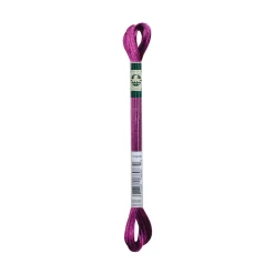 Giesse Scampoli Accessori E Fili Per Il Ricamo>FIL SATIN - 6 CAPI 8M