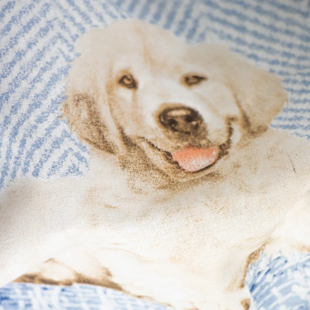 Giesse Scampoli Lenzuola Fantasia>LENZUOLA MODA STELLA CANI