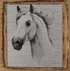 Giesse Scampoli Pannelli Per Cuscini>PANNELLI 47X47 CM MULTIANIMAL