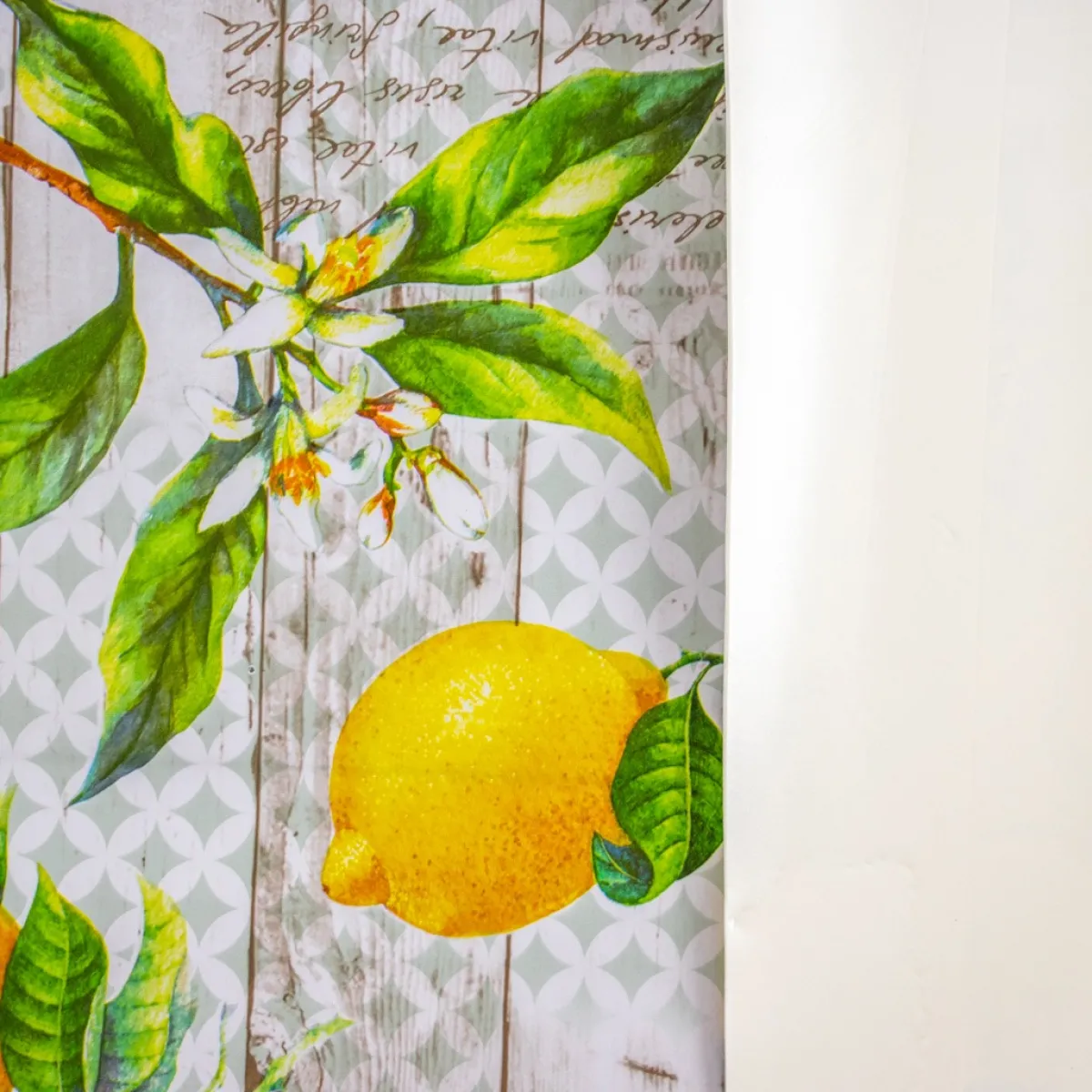 Giesse Scampoli Cotoni Resinati E Tovaglie Cerate|Tessuti Tecnici Per L'Arredo>SOFT STAMPATO LIMONI
